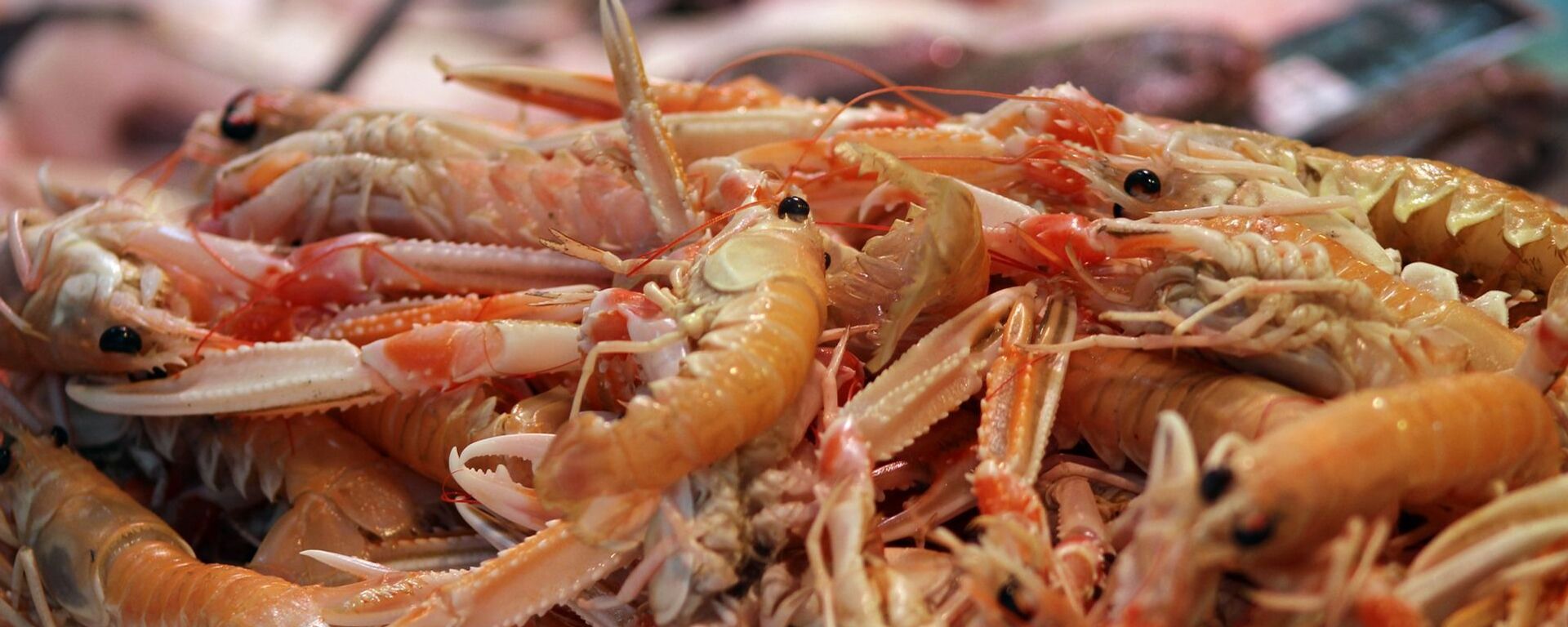 媒体：日本水产品对华出口恢复 - 俄罗斯卫星通讯社, 1920, 07.11.2025