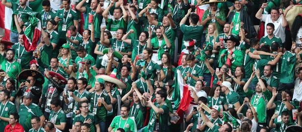 墨西哥球迷 - 俄罗斯卫星通讯社