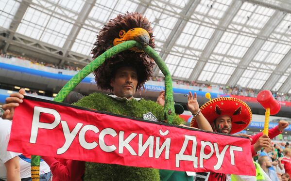 墨西哥國家隊球迷拉著“俄羅斯朋友”的橫幅 - 俄羅斯衛星通訊社