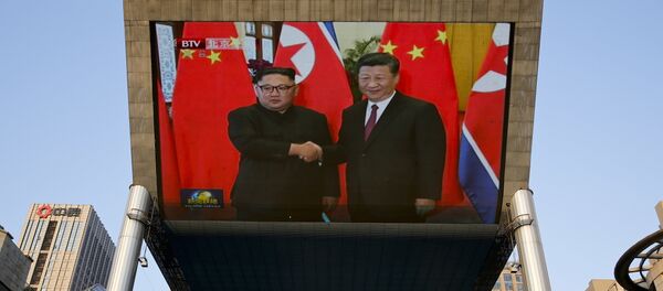 習近平會見金正恩 強調會晤開啓中朝關係新篇章 - 俄羅斯衛星通訊社