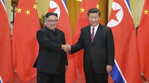 习近平：谋划中朝友好合作关系 支持朝方政治解决半岛问题 - 俄罗斯卫星通讯社