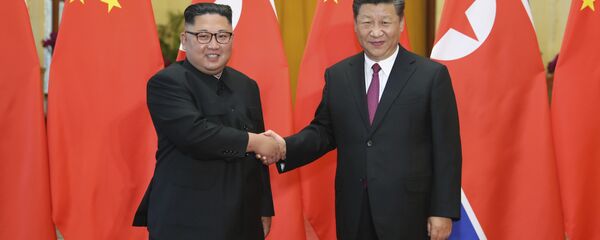 习近平：谋划中朝友好合作关系 支持朝方政治解决半岛问题 - 俄罗斯卫星通讯社