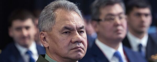 俄罗斯国防部长绍伊古 - 俄罗斯卫星通讯社