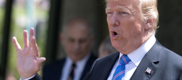 特朗普或結束將兒童與其非法移民父母強行分離的政策 - 俄羅斯衛星通訊社