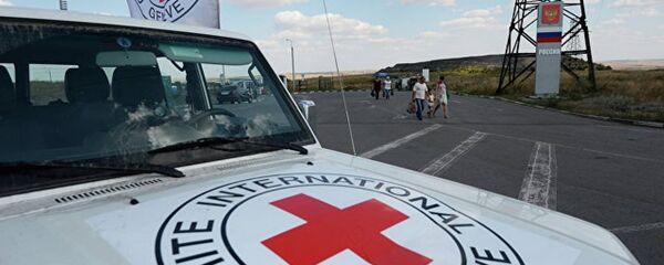 紅十字會向頓巴斯運送逾150噸人道主義物質 - 俄羅斯衛星通訊社