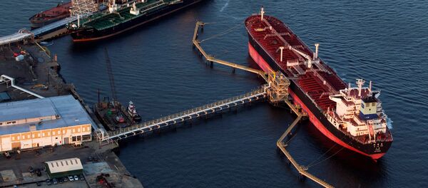 专家：在美中企利润下降 或放眼全球市场 - 俄罗斯卫星通讯社