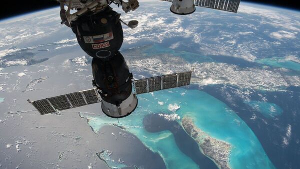 国际空间站航天员将带一只腊肠犬毛绒玩具飞往太空 - 俄罗斯卫星通讯社