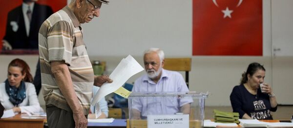 土耳其的总统和议会选举已经开始 - 俄罗斯卫星通讯社