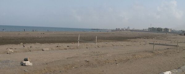 荷台达 - 俄罗斯卫星通讯社