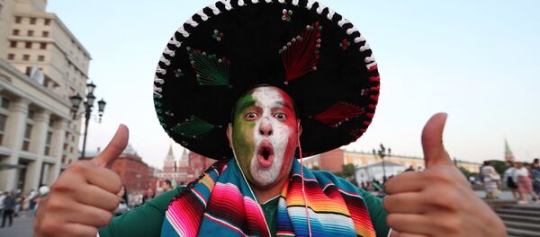 在俄罗斯世界杯足球赛上打破的纪录 - 俄罗斯卫星通讯社