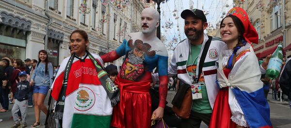 普京承诺为球迷继续在俄旅游提供签证便利 - 俄罗斯卫星通讯社