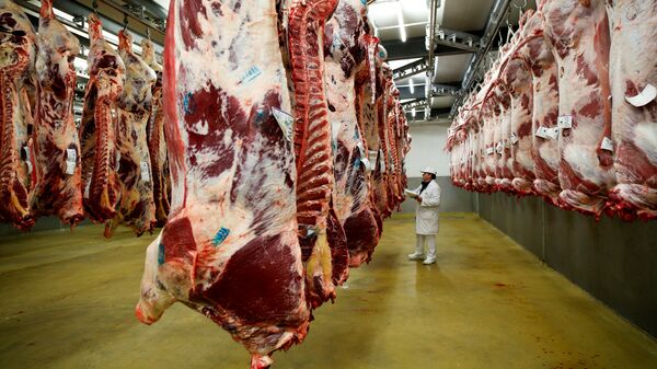 A wholesaler inspects beef carcasses that hang inside a refrigerated room at the Cibevial slaughterhouse in Corbas - 俄罗斯卫星通讯社