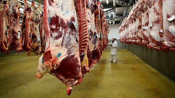 A wholesaler inspects beef carcasses that hang inside a refrigerated room at the Cibevial slaughterhouse in Corbas - 俄羅斯衛星通訊社