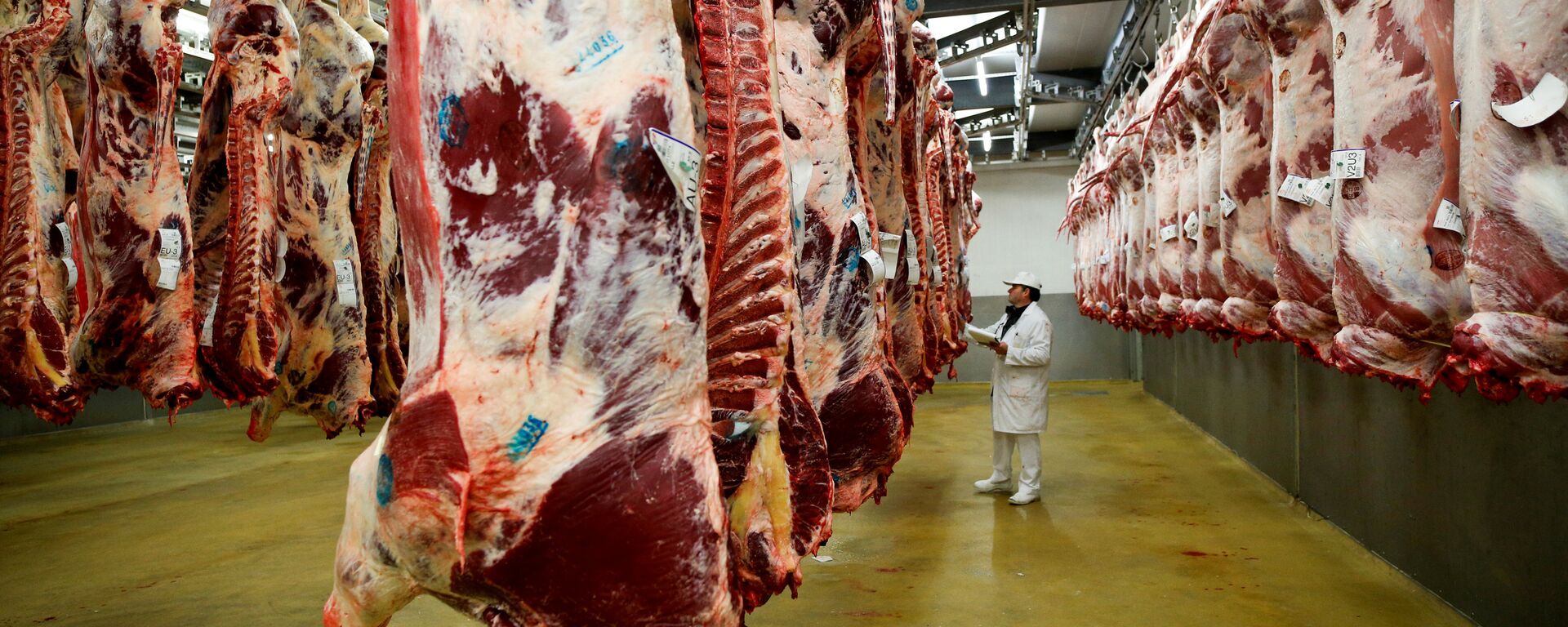 A wholesaler inspects beef carcasses that hang inside a refrigerated room at the Cibevial slaughterhouse in Corbas - 俄罗斯卫星通讯社, 1920, 04.06.2019