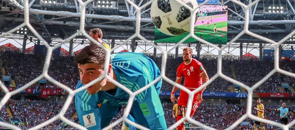 世界杯進球:有人歡喜有人憂 世界杯進球:有人歡喜有人憂 - 俄羅斯衛星通訊社