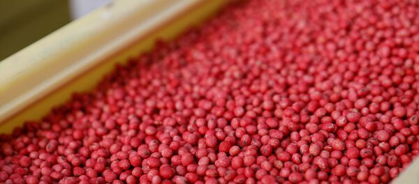 中国在美开打的关税战中转而从侧翼进攻 - 俄罗斯卫星通讯社