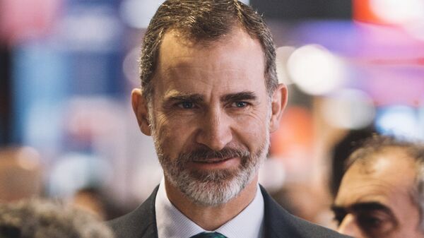 媒體：西班牙國王將訪華，以加強與北京的關係 - 俄羅斯衛星通訊社