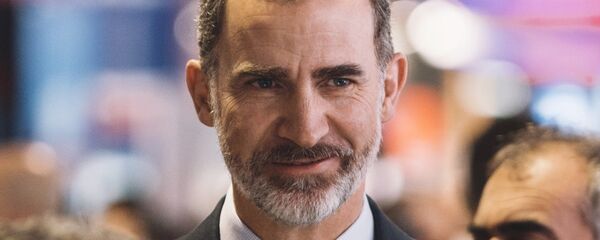 西班牙國王將赴莫斯科助陣本國球隊對戰世界杯東道主隊 - 俄羅斯衛星通訊社