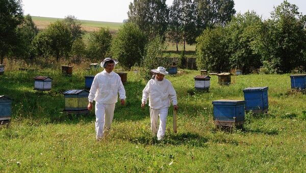 生態學家揭開蜜蜂滅絕的的主要原因 - 俄羅斯衛星通訊社