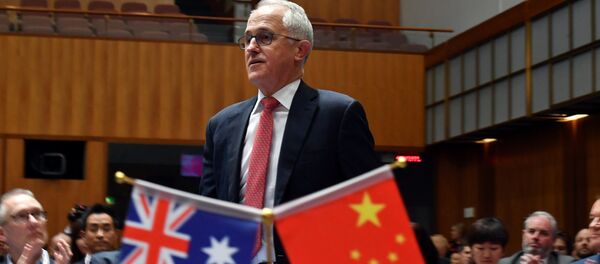 澳大利亚迎合美国反华计划或是一种失算 - 俄罗斯卫星通讯社