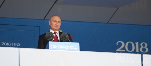 普京把同克羅地亞隊比賽的俄羅斯隊球員稱作英雄 - 俄羅斯衛星通訊社