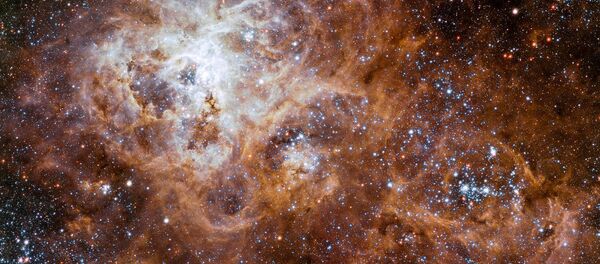 蜘蛛星云 - 俄罗斯卫星通讯社