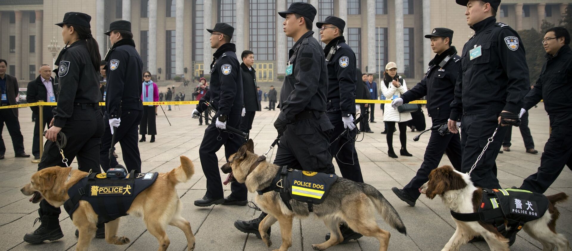 Police dogs and their handlers walk past the Great Hall of the People - 俄羅斯衛星通訊社, 1920, 25.03.2019
