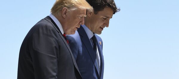 特鲁多与特朗普就伊拉克局势和伊朗空难进行磋商 - 俄罗斯卫星通讯社