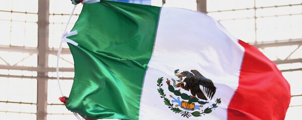 墨西哥国旗 墨西哥国旗 - 俄罗斯卫星通讯社