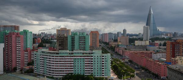 媒体：被朝鲜驱逐的日本公民已经回国 - 俄罗斯卫星通讯社