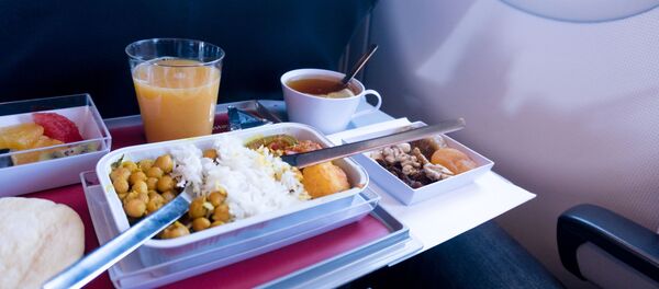 专家：飞机上不宜吃哪些食物 - 俄罗斯卫星通讯社