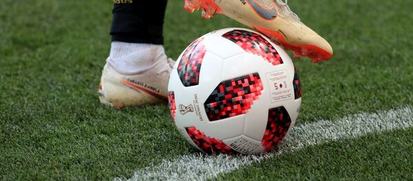 世界杯将为俄罗斯带来大约300亿美元的收入 - 俄罗斯卫星通讯社