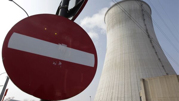 比利时一核反应堆发现结构缺陷 - 俄罗斯卫星通讯社
