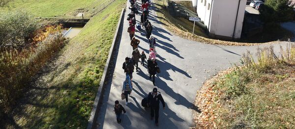 2017年以來近1.2萬移民選擇領取返鄉資助離開德國 - 俄羅斯衛星通訊社