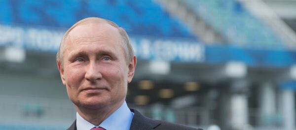 普京 - 俄罗斯卫星通讯社