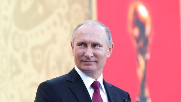 俄罗斯以高水平举办2018年世界杯足球赛 - 俄罗斯卫星通讯社