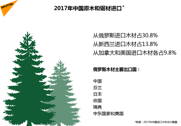 2017年中国原木和锯材进口 - 俄罗斯卫星通讯社
