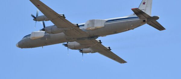 伊尔-22PP伐木人飞机 - 俄罗斯卫星通讯社