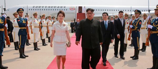 克宫不掌握有关金正恩专机疑似现身符拉迪沃斯托克的消息 - 俄罗斯卫星通讯社