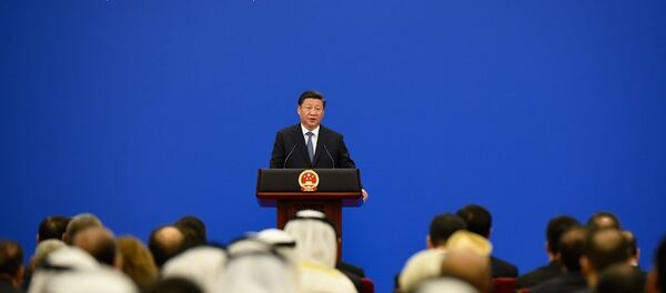 习近平宣布建立面向未来的中阿战略伙伴关系 - 俄罗斯卫星通讯社