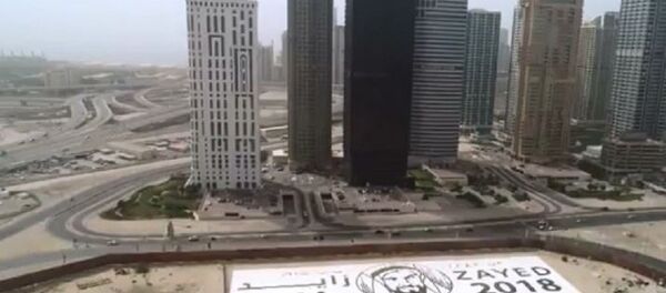 阿联酋拼成世界最大拼图 阿联酋拼成世界最大拼图 - 俄罗斯卫星通讯社