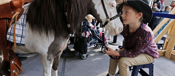 小矮马 - 俄罗斯卫星通讯社