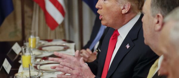 特朗普：俄罗斯通过天然气已完全控制德国 - 俄罗斯卫星通讯社