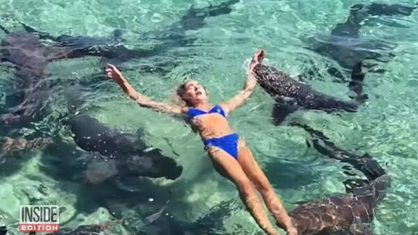 鲨鱼袭击在巴哈马拍摄的一名博主 - 俄罗斯卫星通讯社