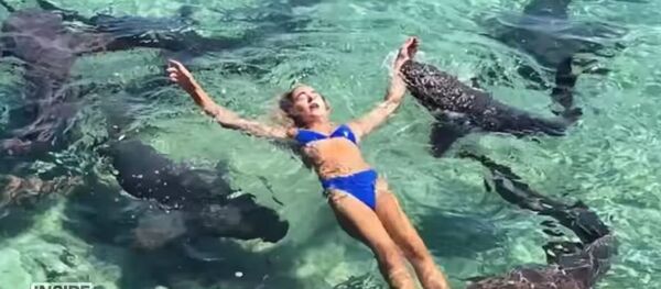 一名女子在澳大利亚东北部的圣灵群岛被鲨鱼袭击 - 俄罗斯卫星通讯社