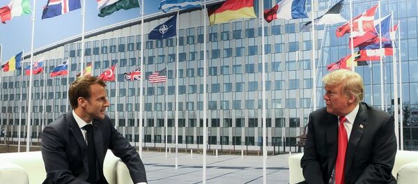 特朗普與馬克龍討論北約發展問題及貿易關係 - 俄羅斯衛星通訊社