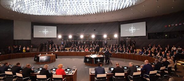 特朗普：北约所有成员国应提高国防开支 - 俄罗斯卫星通讯社