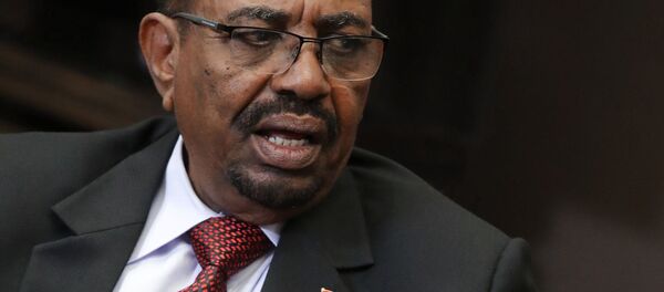 消息人士：苏丹总统将于7月13日访问俄罗斯 - 俄罗斯卫星通讯社