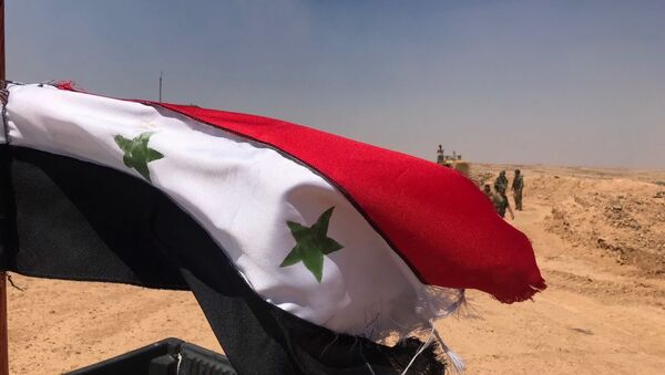 Сирийские войска на границе с Иорданией в провинции Дераа - 俄罗斯卫星通讯社