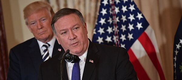 蓬佩奥与特朗普 - 俄罗斯卫星通讯社